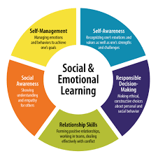 What is SEL?